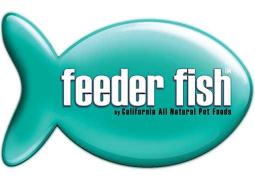 Feeder Fish Food